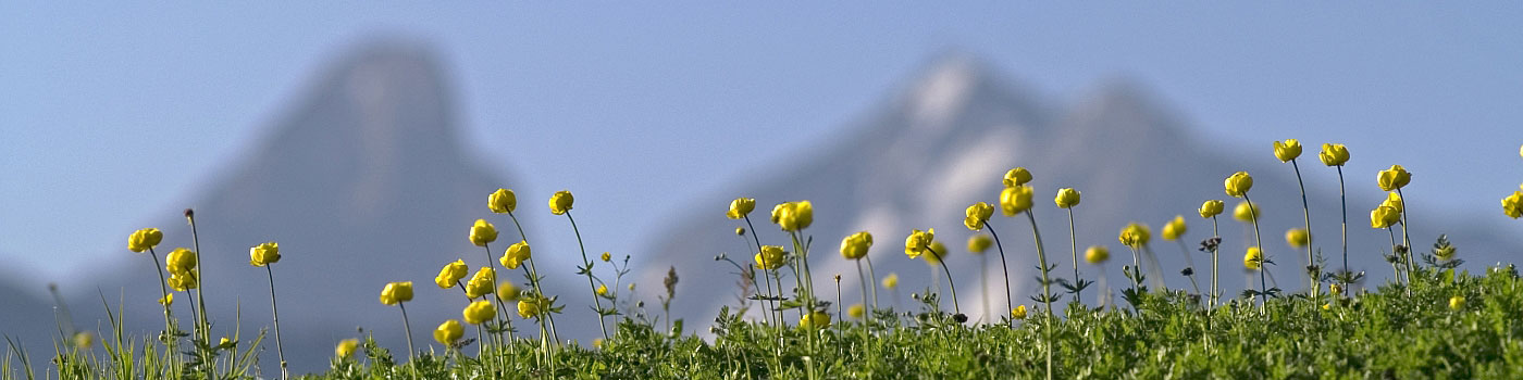 head sommerurlaub in lech oberlech